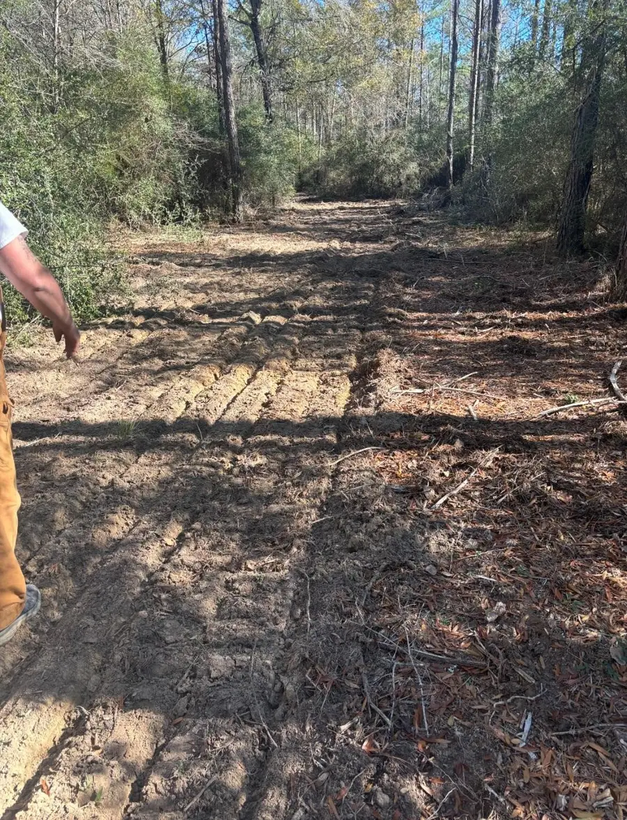 0 Whitmire Road, Trinity, TX 75862 - #2