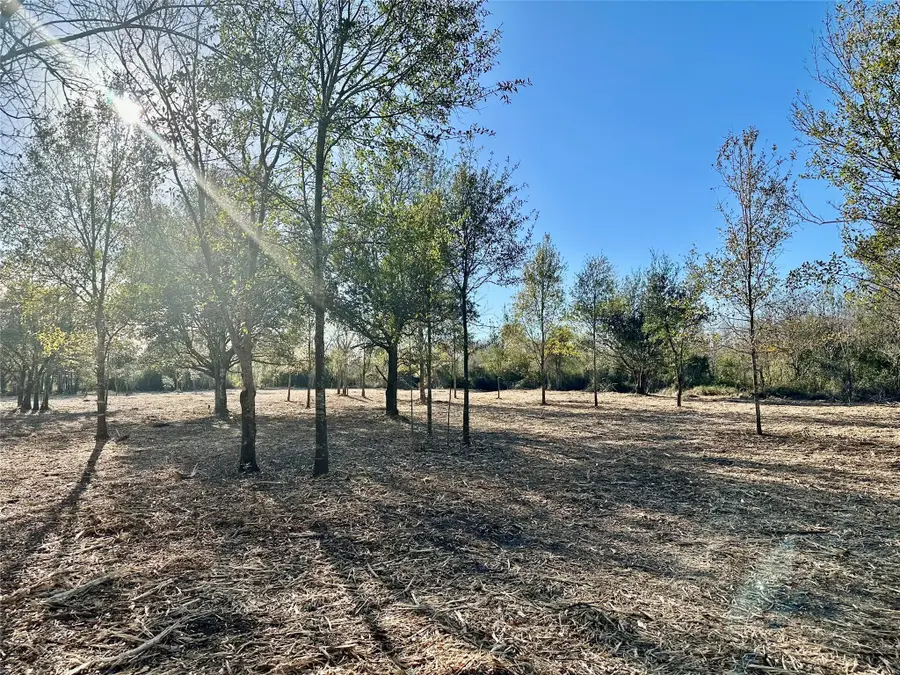 000 Fredrick Street, Port Arthur, TX 77640 - #2