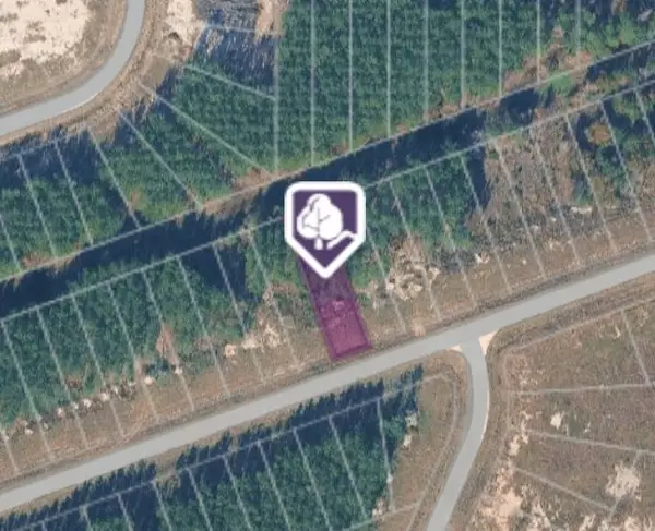 1369 Road 5890, Cleveland, TX 77327