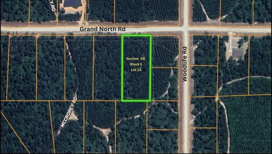11818 Grand North Road, Willis, TX 77378 - #3