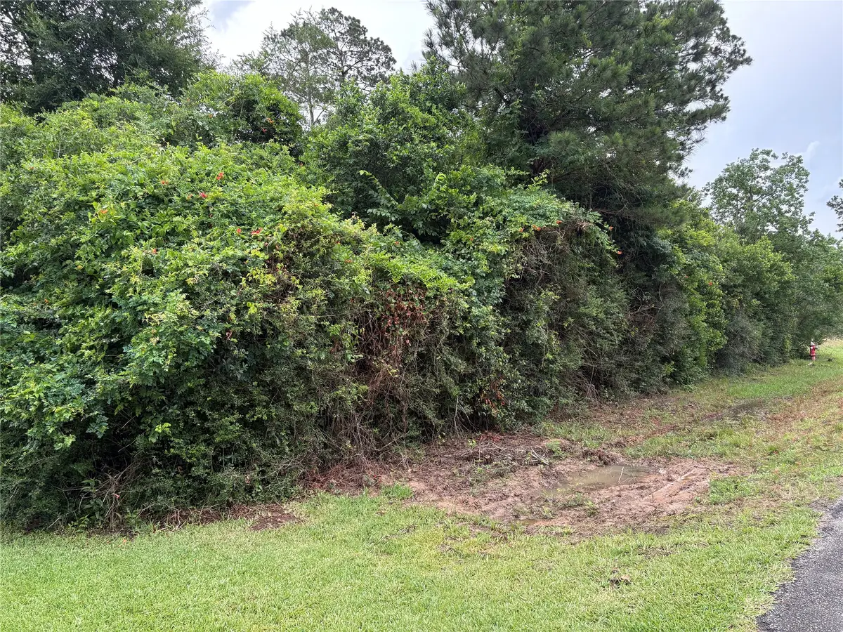 0 Moore Street, Tomball, TX 77375 - #1