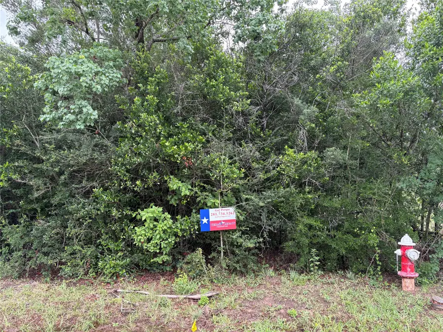 0 Moore Street, Tomball, TX 77375 - #2