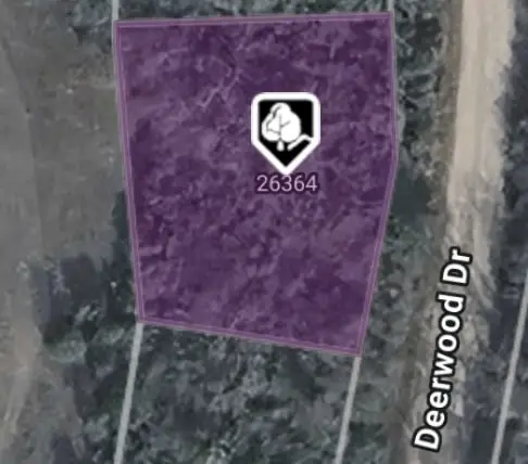 26364 Deerwood Drive, Hempstead, TX 77445 - #3