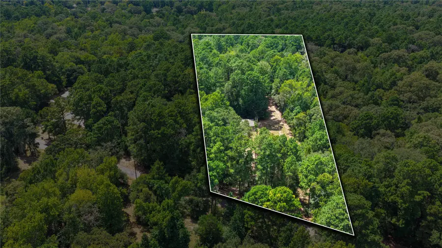 1215 Trinlady Park Road, Trinity, TX 75862 - #2