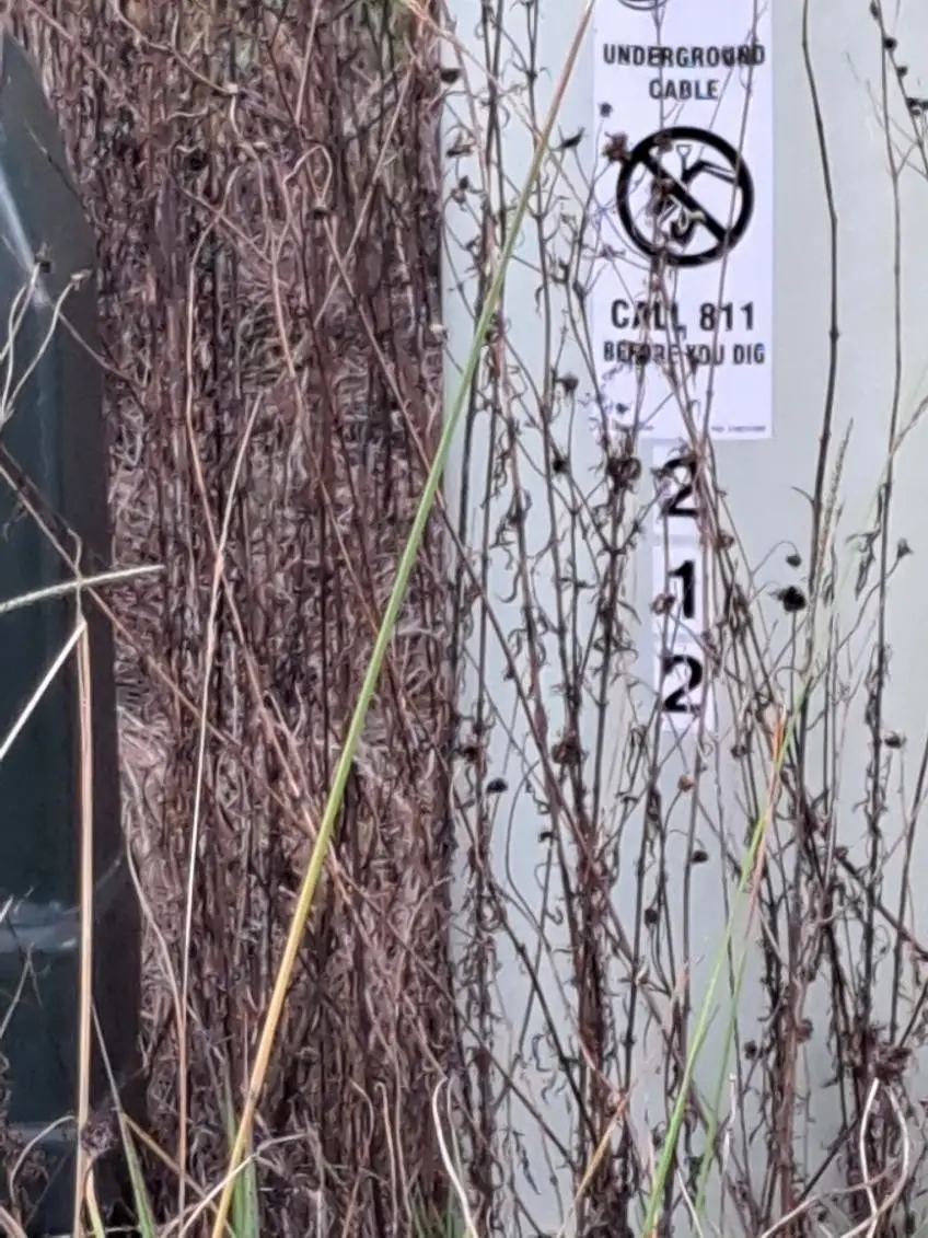 212 Road 5604, Cleveland, TX 77327 - Image #1