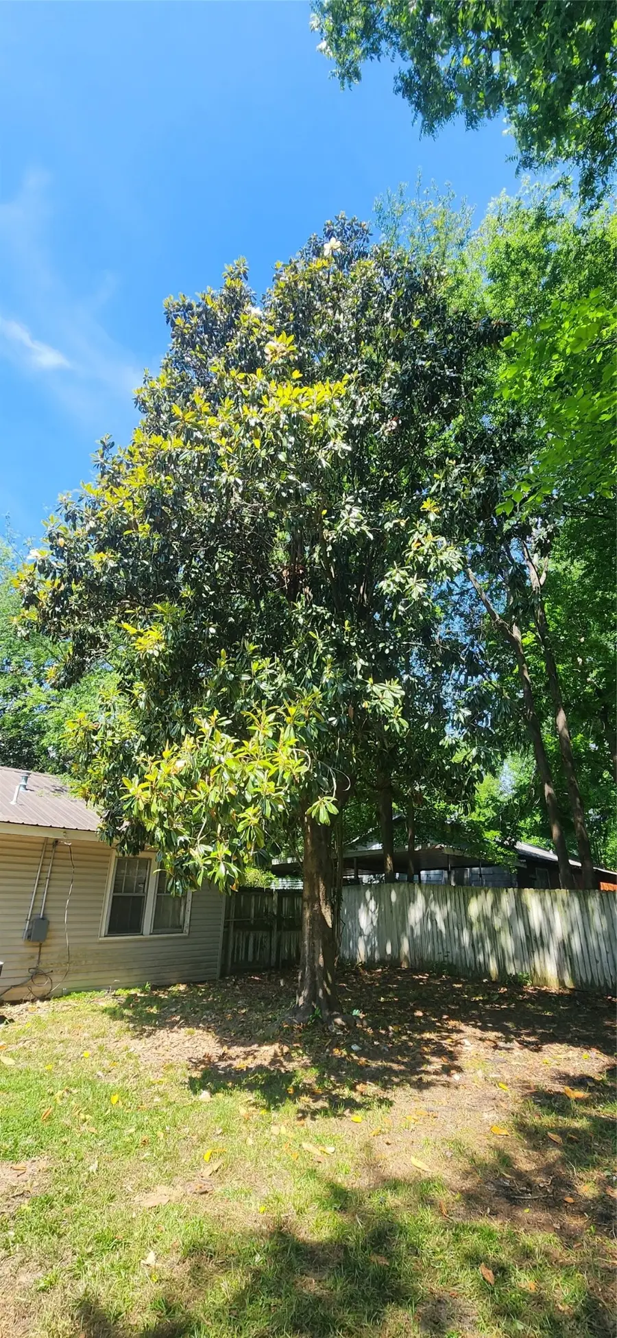 1908 Lee Street, Longview, TX 75604 - #2