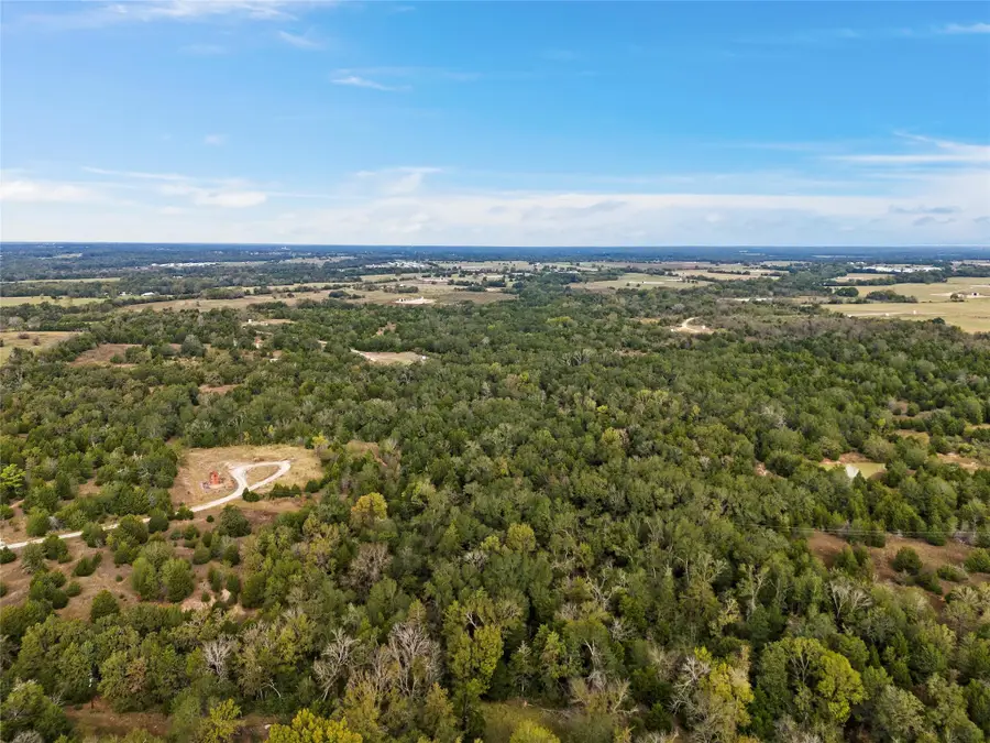 TBD W Fm 489, Teague, TX 75860 - #2