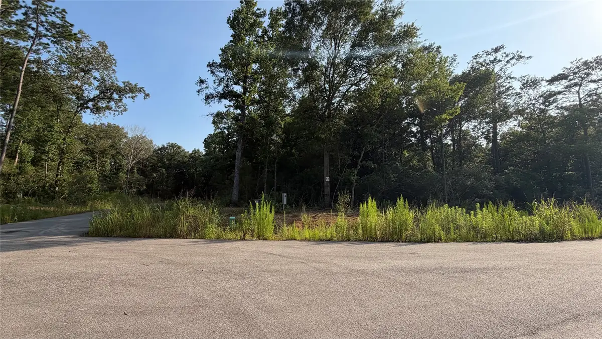 229 County Road 6311, Dayton, TX 77535 - #1