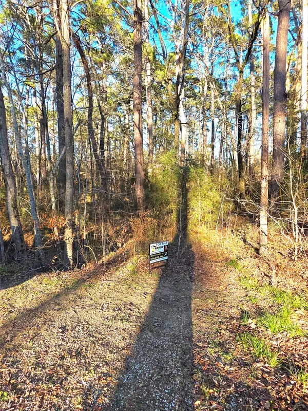 TBD Governor Wood Drive, Point Blank, TX 77364