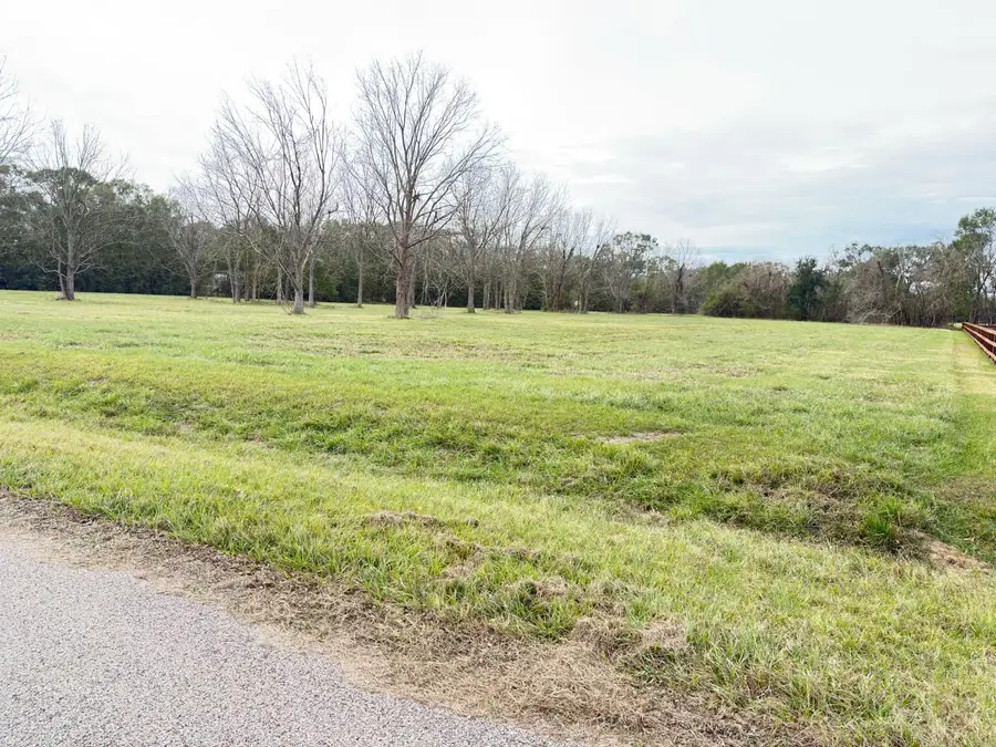 16834 Wrangler Road, Rosharon, TX 77583 - #3