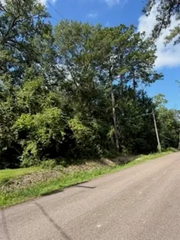 510 Spoonemore, Vidor, TX 77662 - #3