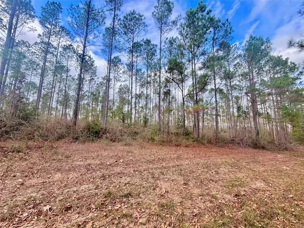 02 Fm 1005, Jasper, TX 75951