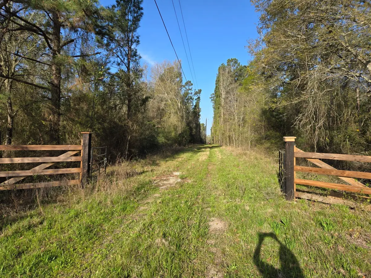 12A Mills Lane, Richards, TX 77873 - #1