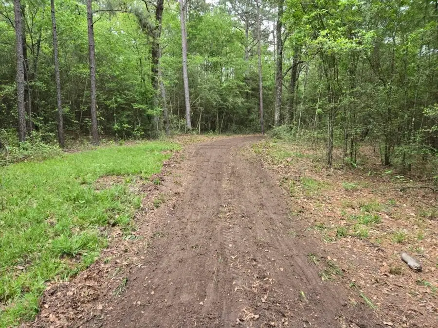 12A Mills Lane, Richards, TX 77873 - #3