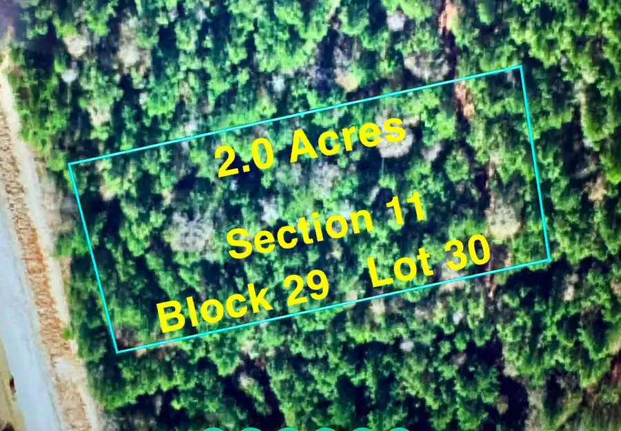 11-29-30 Grey Feather Rd, Huntsville, TX 77340 - #2