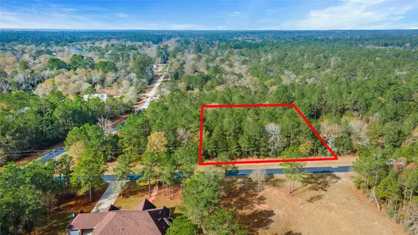 17855 Round Up Drive, Waller, TX 77484