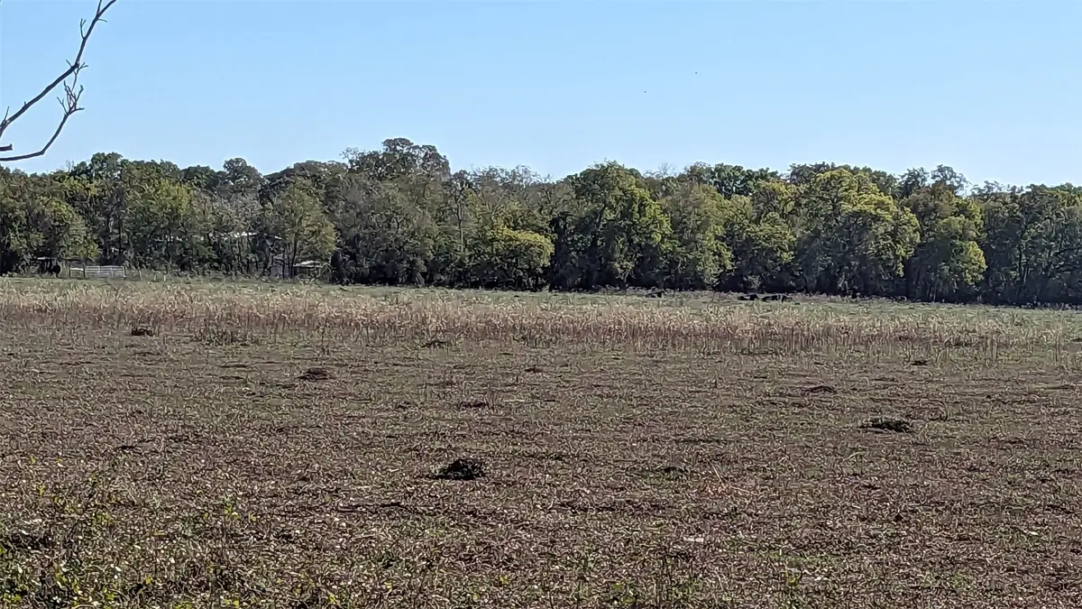 0000 County Road 159, Wharton, TX 77488 - #1