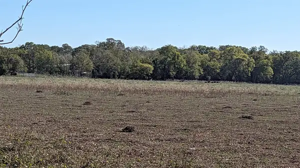 0000 County Road 159, Wharton, TX 77488