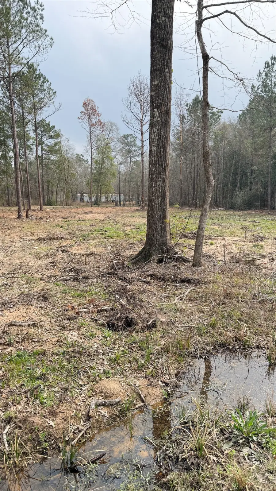 0 Dogwood Trail, Shepherd, TX 77371 - #2