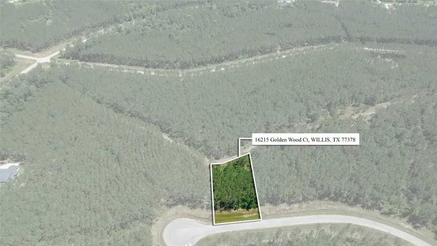 16215 Golden Wood Court, Willis, TX 77378 - #3