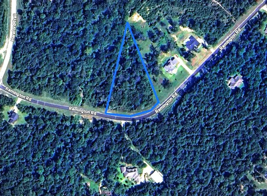 2-11-15 TBD Remington Road, Huntsville, TX 77340 - #3