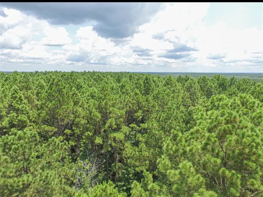 TBD Hickman Road, Corrigan, TX 75939 - #2