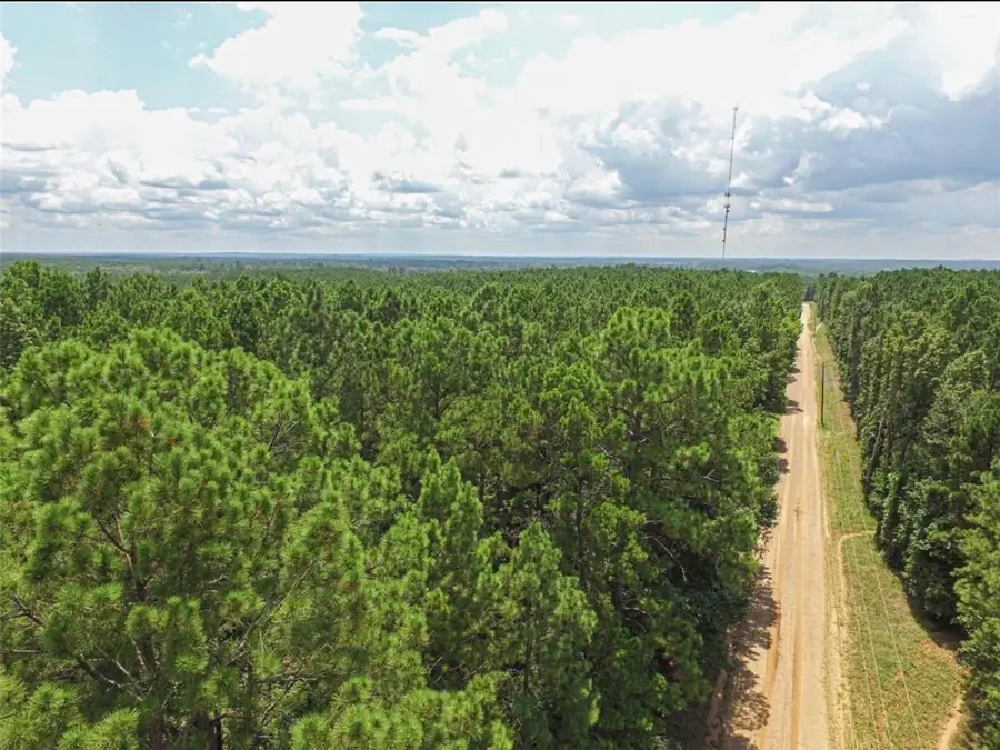 TBD Hickman Road, Corrigan, TX 75939 - #3