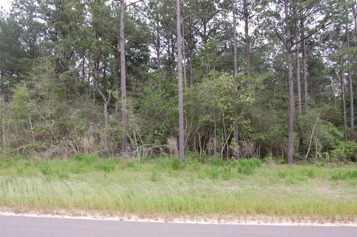 15674 Forest Grove Drive, Willis, TX 77378 - Image #1