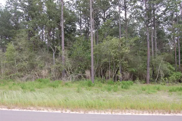 15674 Forest Grove Drive, Willis, TX 77378