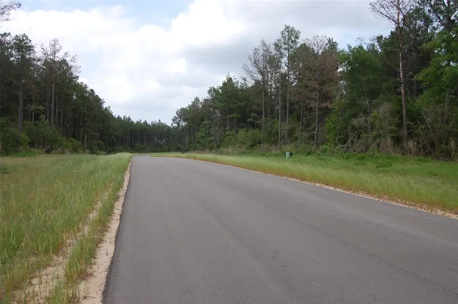 15674 Forest Grove Drive, Willis, TX 77378 - Image #2