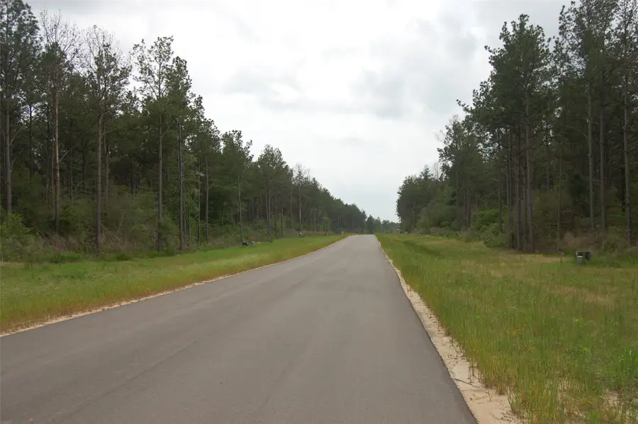 15674 Forest Grove Drive, Willis, TX 77378 - Image #3