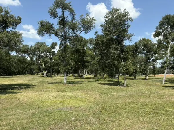 0 Fm 2611, Brazoria, TX 77422 - #2