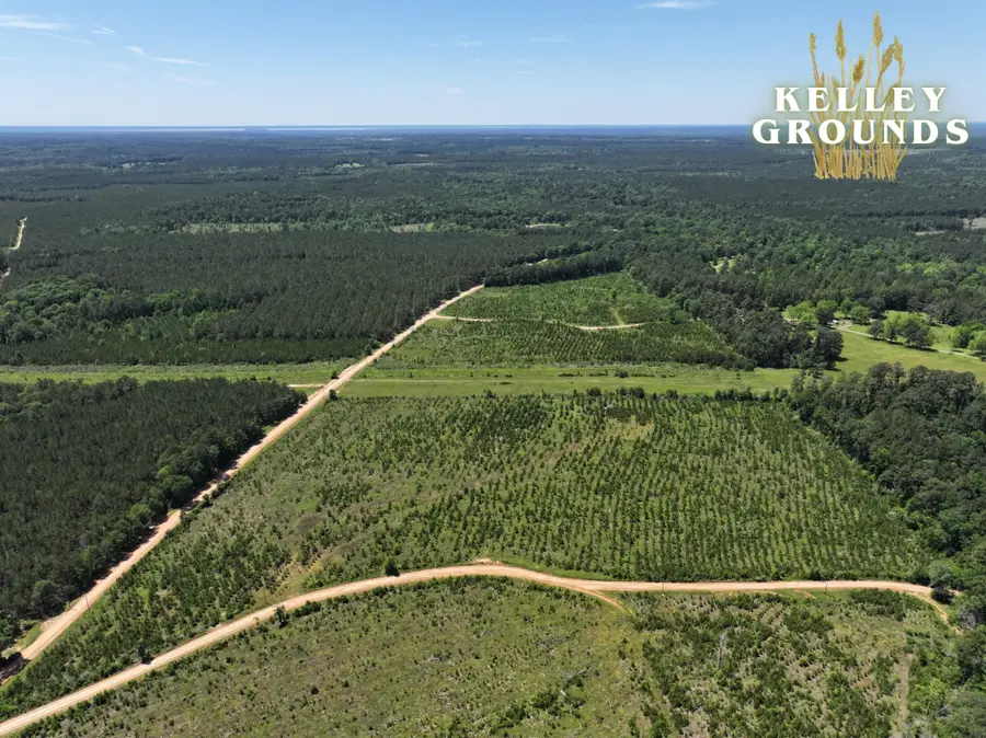 2-7 A Kelley Road, Livingston, TX 77351 - #3