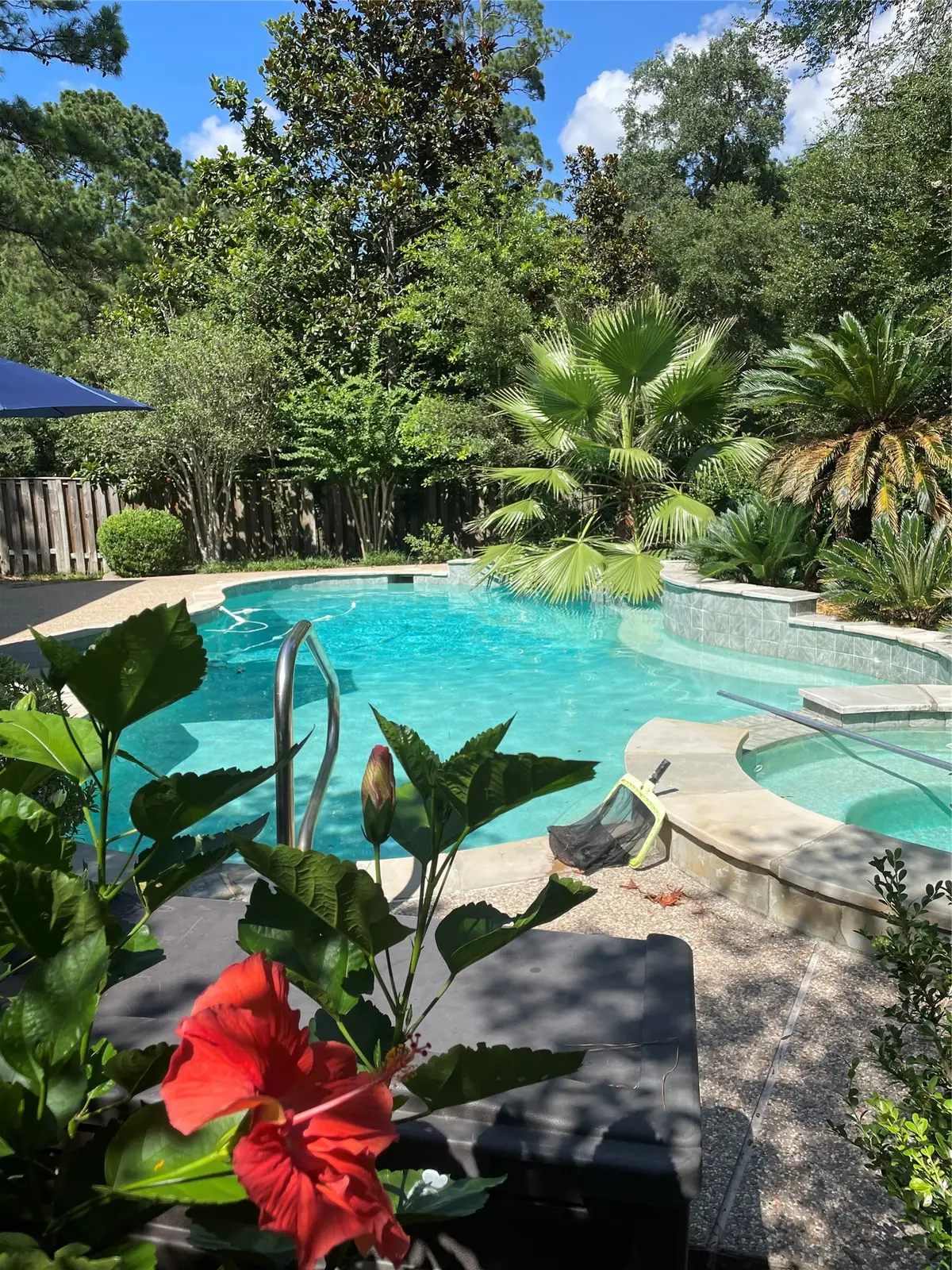 38 Dovewing Place, The Woodlands, TX 77382 - #1