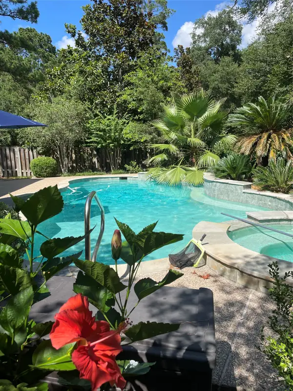 38 Dovewing Place, The Woodlands, TX 77382