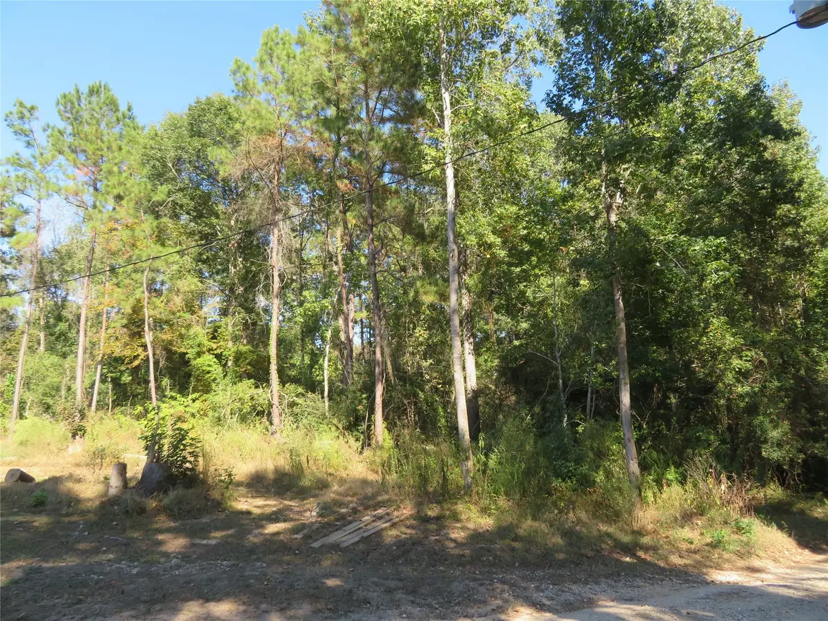 000 County Road 2125, Cleveland, TX 77327 - Image #1