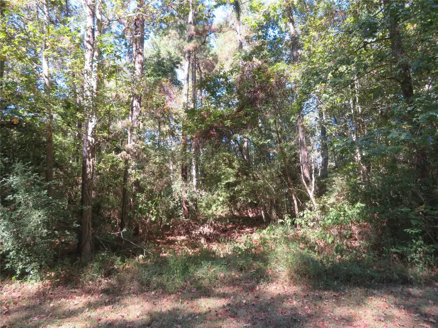 000 County Road 2125, Cleveland, TX 77327 - Image #2