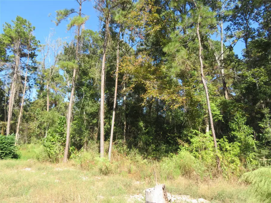 000 County Road 2125, Cleveland, TX 77327 - Image #3