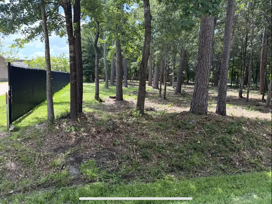0 Bear Branch, Magnolia, TX 77354 - #2
