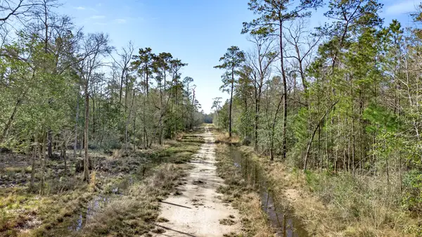 12310 Picos Road, Saratoga, TX 77585