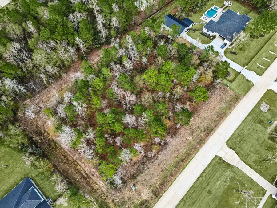 7511 Bingham Drive, Montgomery, TX 77316 - #3