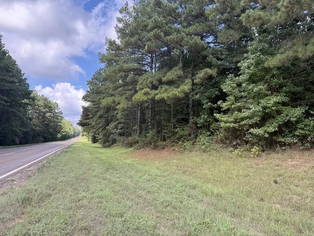 6000 Hwy 63 W, Wiergate, TX 75977 - #1