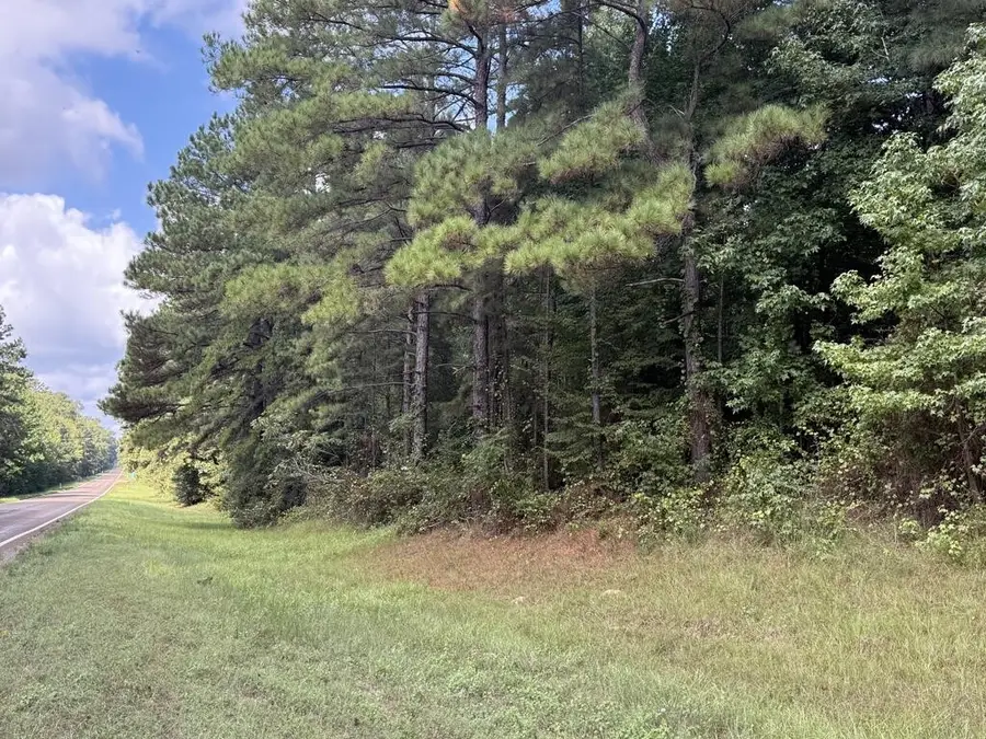 6000 Hwy 63 W, Wiergate, TX 75977 - #2