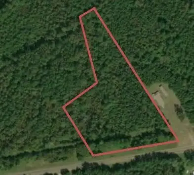 6000 Hwy 63 W, Wiergate, TX 75977 - #3