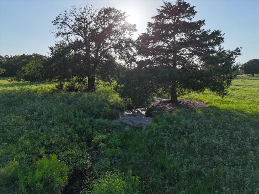 8600 Fm-1361, Somerville, TX 77879 - #2