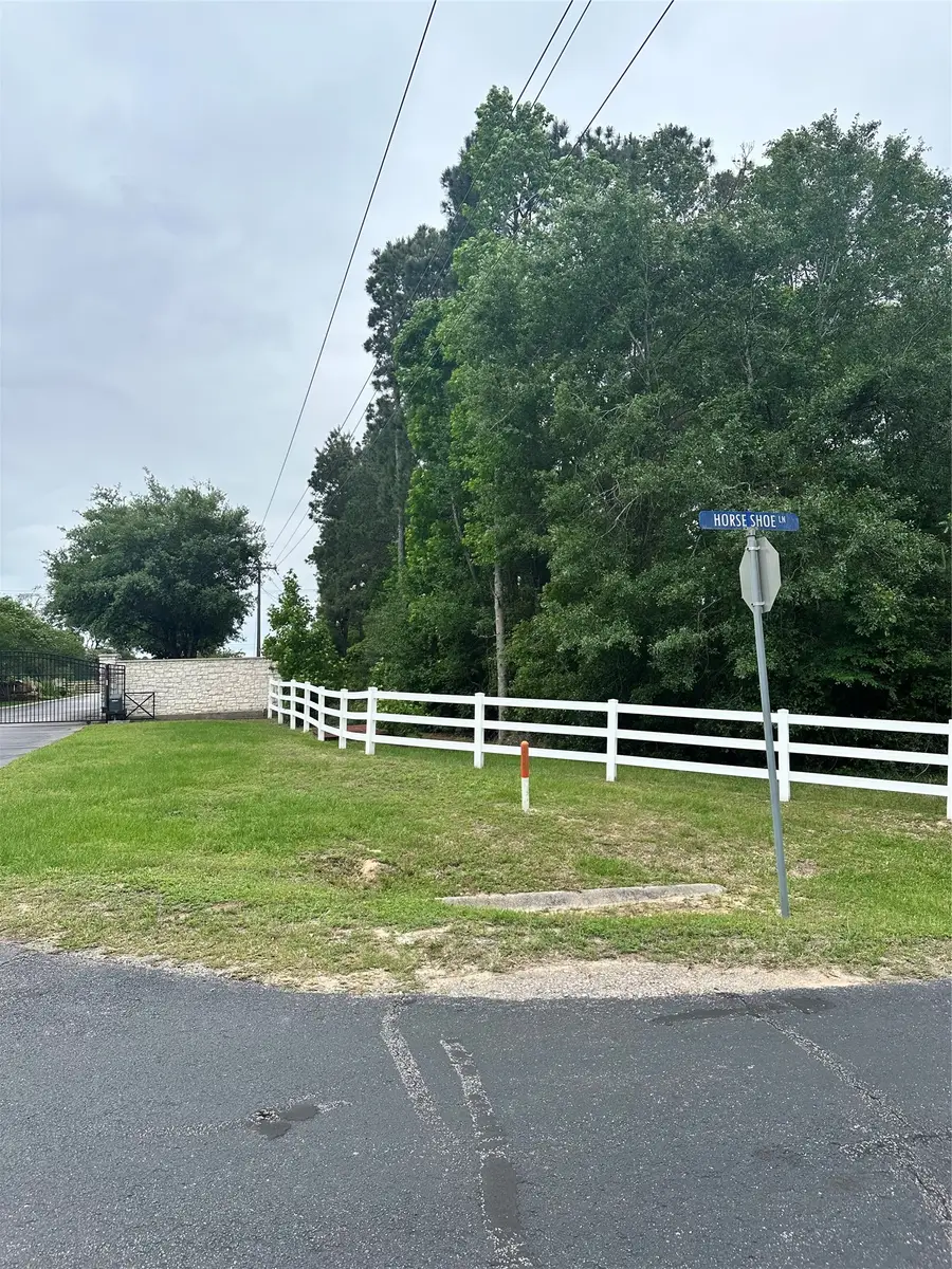 28117 Horse Shoe Lane Lane, Waller, TX 77484 - #3