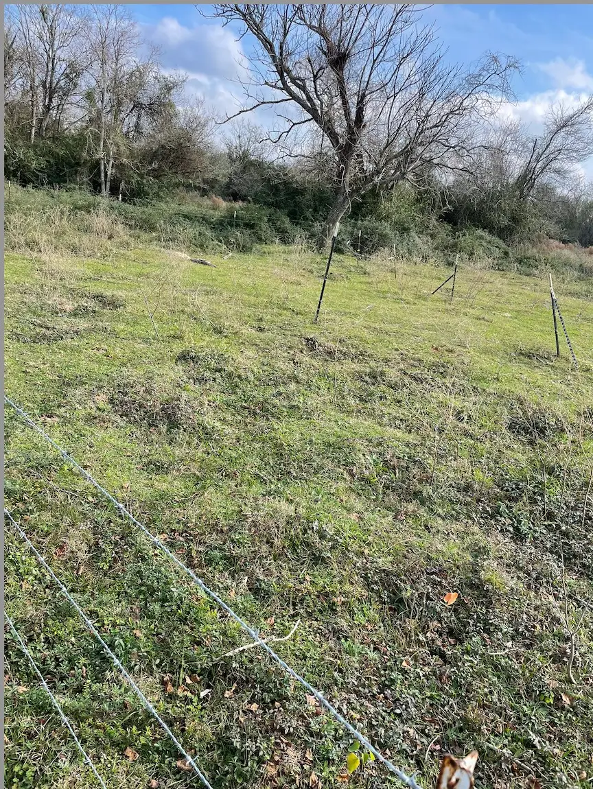 831 Stockold Road, Sealy, TX 77474 - #2