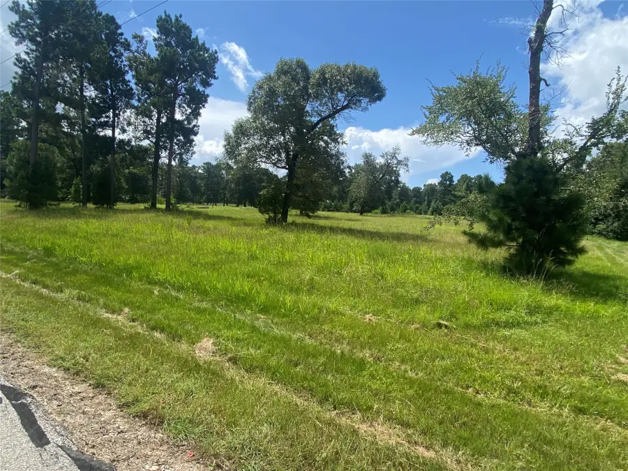 Lot 2 Dahlia Road, Huntsville, TX 77320 - #3