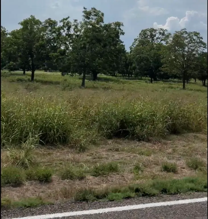 Tract #2 Fm 2548, Midway, TX 75852 - Image #3