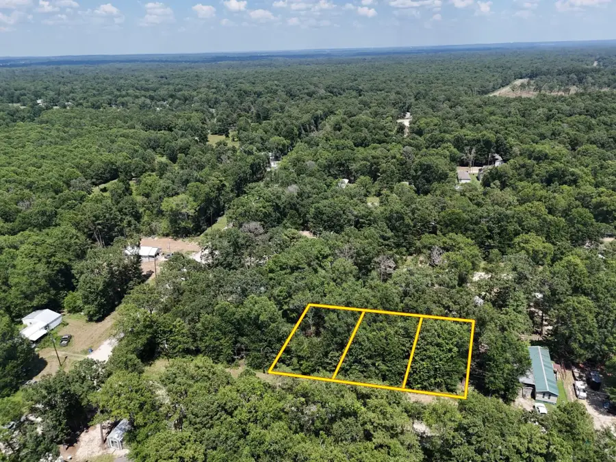 Lot 265-267 Knottypine, Livingston, TX 77351 - #2
